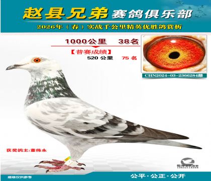 ǧ����38��