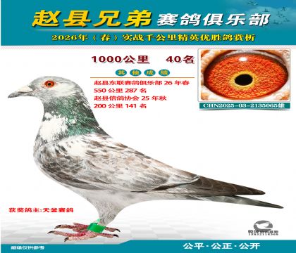 ǧ����40��