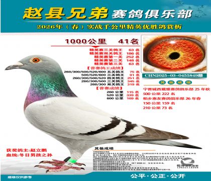 ǧ����41��