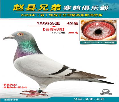 ǧ����42��