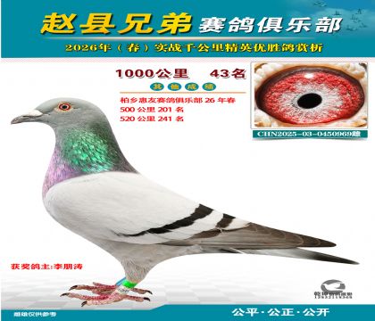 ǧ����43��