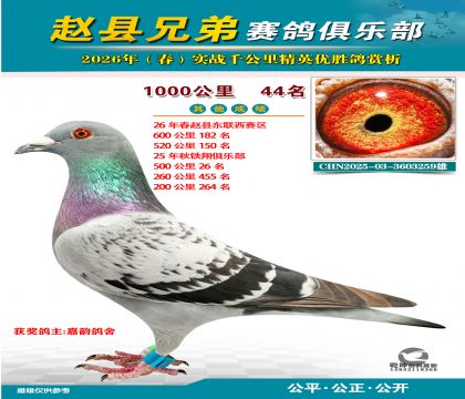 ǧ����44��