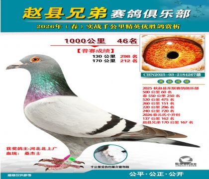 ǧ����46��