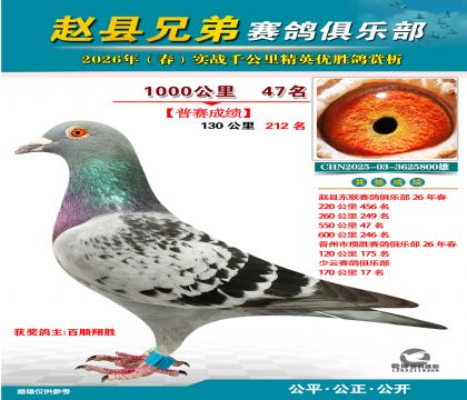 ǧ����47��