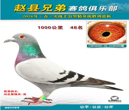 ǧ����48��