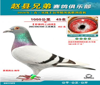 ǧ����49��