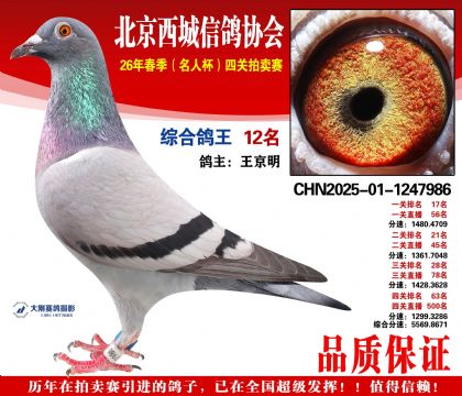 �ۺϸ��� 12��