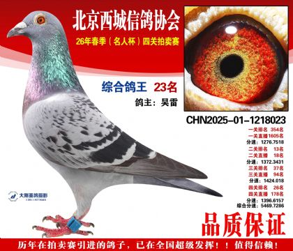 �ۺϸ��� 23��