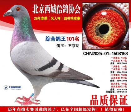 �ۺϸ��� 101��