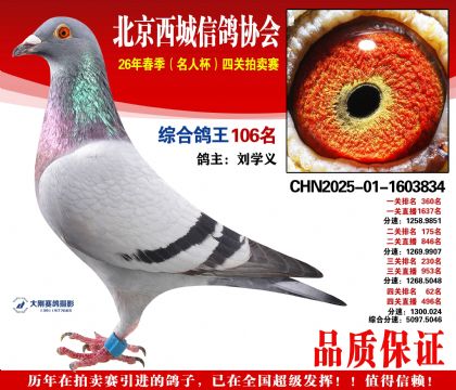�ۺϸ��� 106��