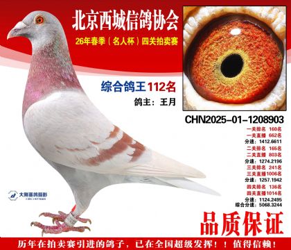 �ۺϸ��� 112��