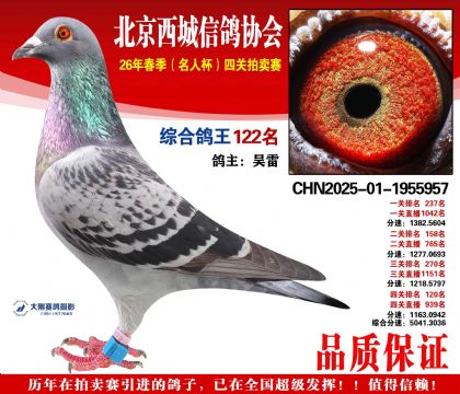 �ۺϸ��� 122��