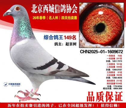 �ۺϸ��� 149��