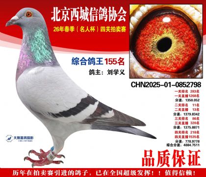 �ۺϸ��� 155��