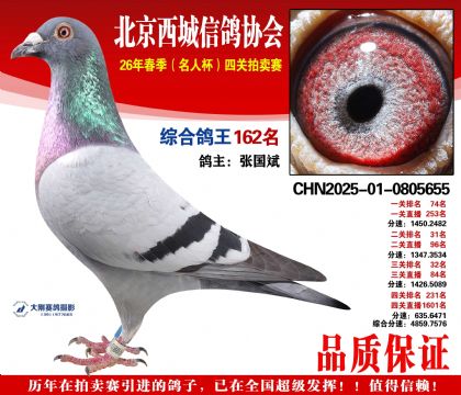 �ۺϸ��� 162��