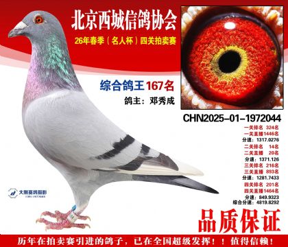 �ۺϸ��� 167��