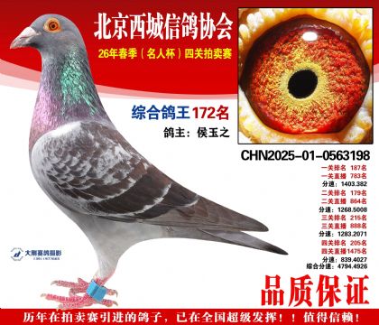 �ۺϸ��� 172��