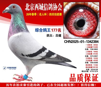 �ۺϸ��� 177��