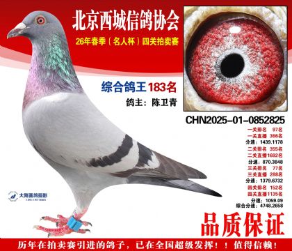 �ۺϸ��� 183��