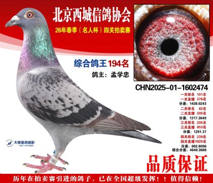 �ۺϸ��� 194��