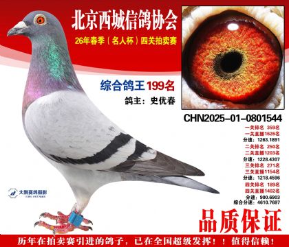 �ۺϸ��� 199��