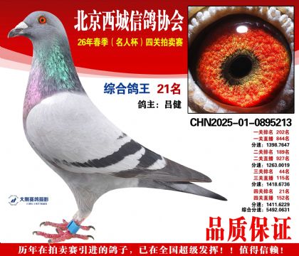 �ۺϸ��� 21��