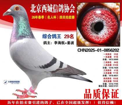 �ۺϸ��� 29��