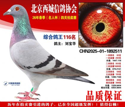 �ۺϸ��� 116��