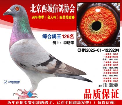 �ۺϸ��� 126��