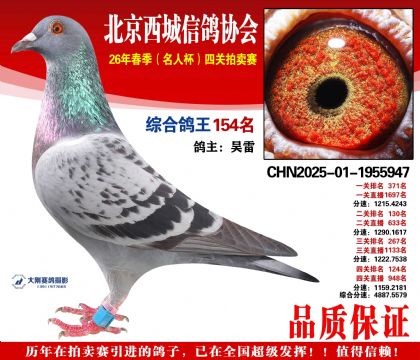 �ۺϸ��� 154��