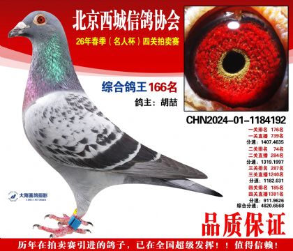 �ۺϸ��� 166��