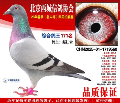 �ۺϸ��� 171��