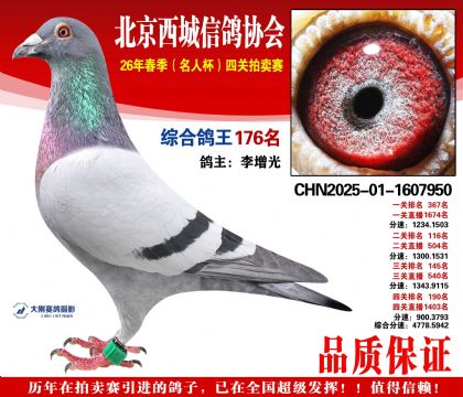 �ۺϸ��� 176��