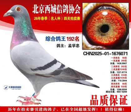 �ۺϸ��� 192��