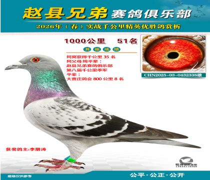 ǧ����51��