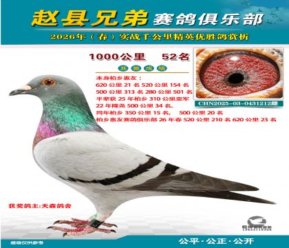 ǧ����52��