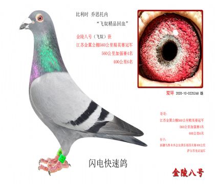 1������ʱ ��˼���ڡ���ū��Ʒ��Ѫ��