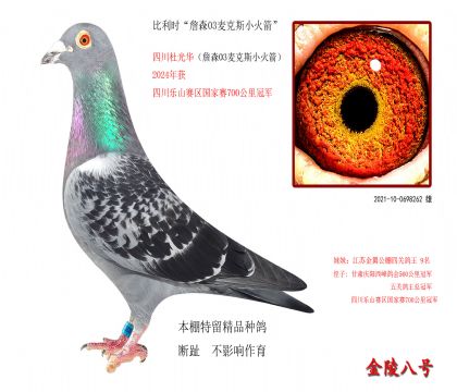 3������ʱ��ղɭ03���˹С�����