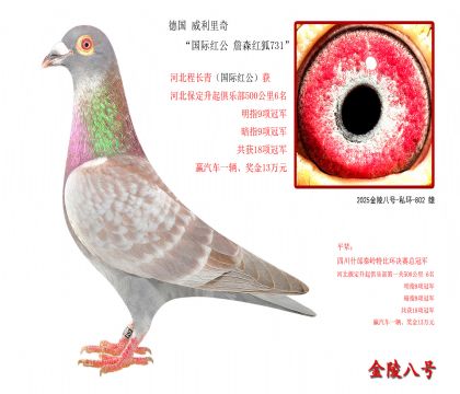 4���¹� �������桰���ʺ칫 ղɭ���731��