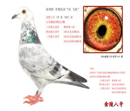 5������ʱ ��˼���ڡ��� ��ū��