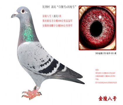 7������ʱ �Ǳȡ��׸���x����š�