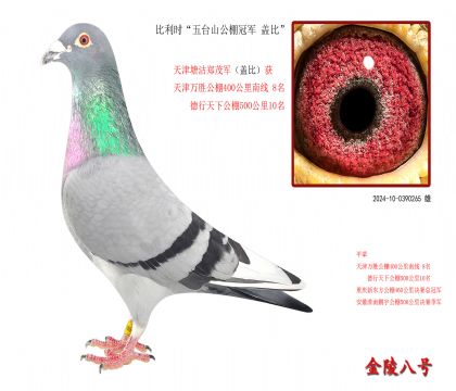 6������ʱ����̨ɽ����ھ� �Ǳȡ�