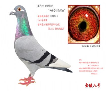 8������ʱ ��˼���ڡ������ؾ�Ʒ��Ѫ��