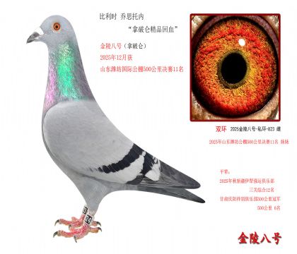 9������ʱ ��˼���ڡ������ؾ�Ʒ��Ѫ��