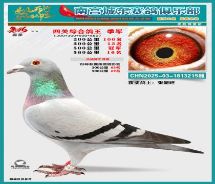 �Ĺظ�������