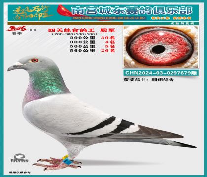 �Ĺظ���4��