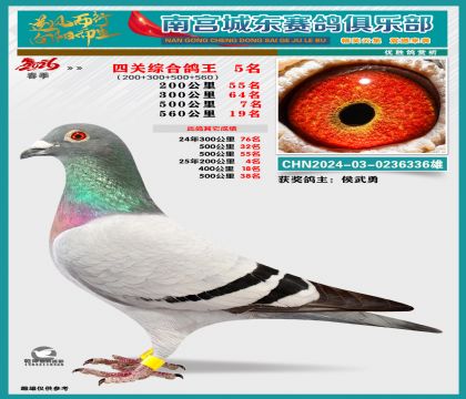 �Ĺظ���5��