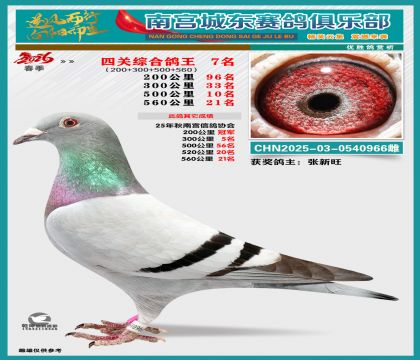 �Ĺظ���7��