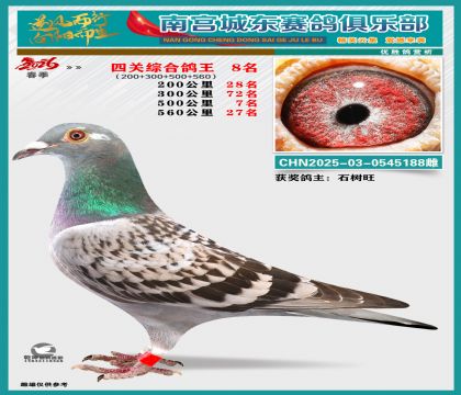 �Ĺظ���8��