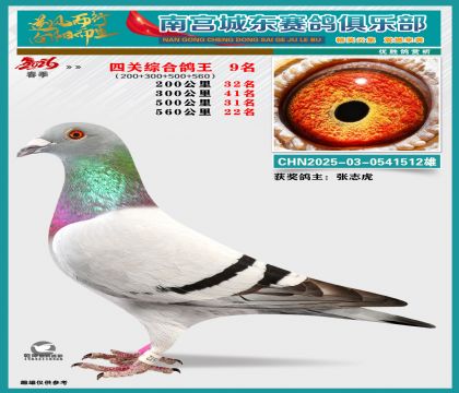 �Ĺظ���9��